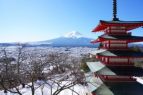 7 Day Pass Japan Essentials Itinerary