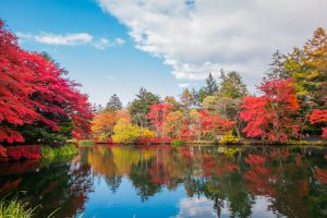 7-Day Pass – Autumn Country Itinerary