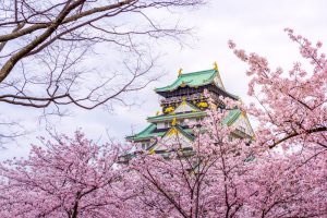 7-Day Pass – Cherry Blossoms Delights Itinerary