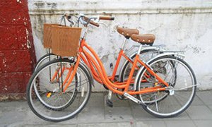 kyoto-small-group-bike-tour-in-kyoto-149528