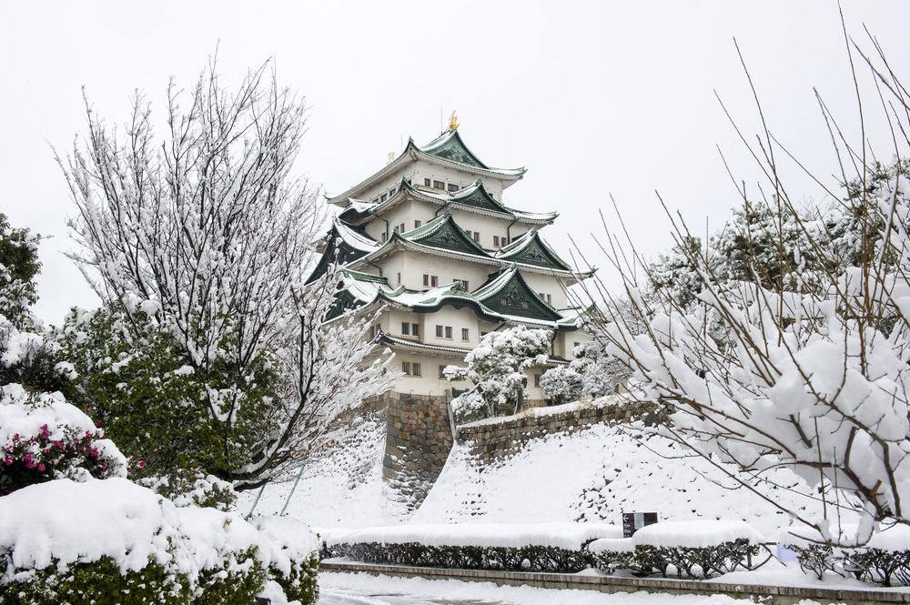 Winter of Nagoya Castle