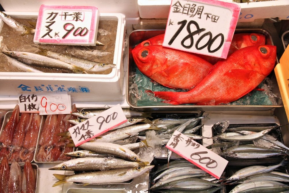 Seafood choice at famous Tsukiji Fish Market in Tokyo, Japan. Barracuda (kinmedai), splendid alfonsino, swordtip squid (shiroika), sayori (needlefish) and swordtip squid.