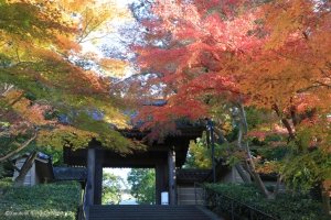 Kamakura Engaku-ji Temple