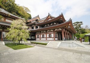 Kamakura - Hasedera temple