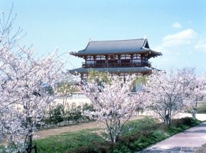 Nara Heijo-kyo Palace