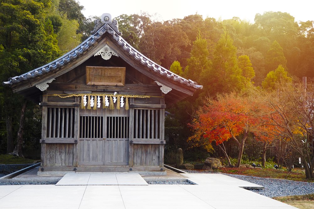 The landscape of the precinct in a shrine Japan Fukuoka-ken Asakura-city with tree and sunrise