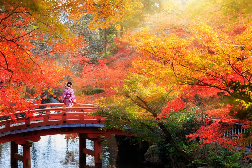 Wooden bridge in the autumn park, Japan autumn season, Kyoto