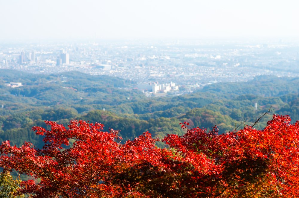 Takao mountain,tokyo,japan autumn