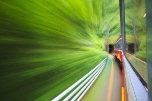 Hakone Tozan Train passing through a forest.