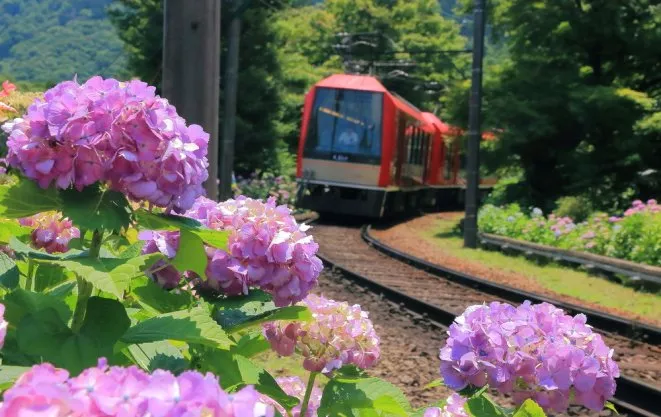 The Hakone Tozan Train passes