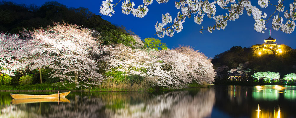 14 Day Pass - Japan’s Best Of The West Cherry Blossoms Itinerary