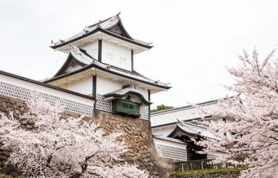 Kanazawa castle on spring cherry blossom season (Sakura)