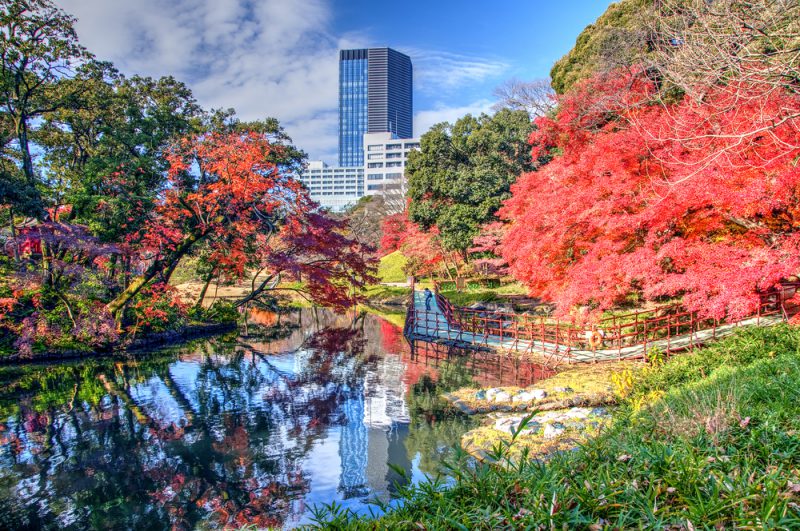 Autumn Colors in Koishikawa Korakuen Garden, Tokyo, Japan