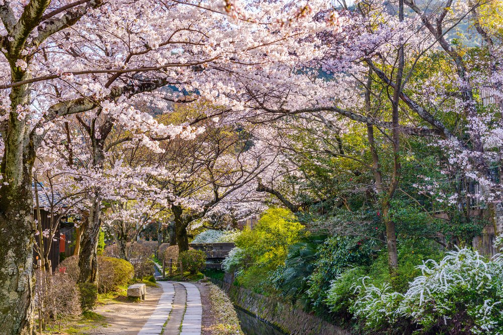 Philosopher's Walk - Kyoto