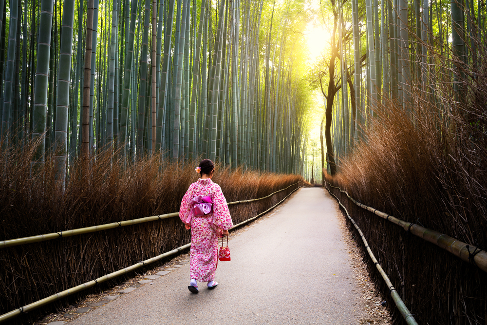 The bamboo groves of Arashiyama