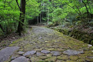 Japan forest path - historic Nakasendo trail between Magome and Tsumago.