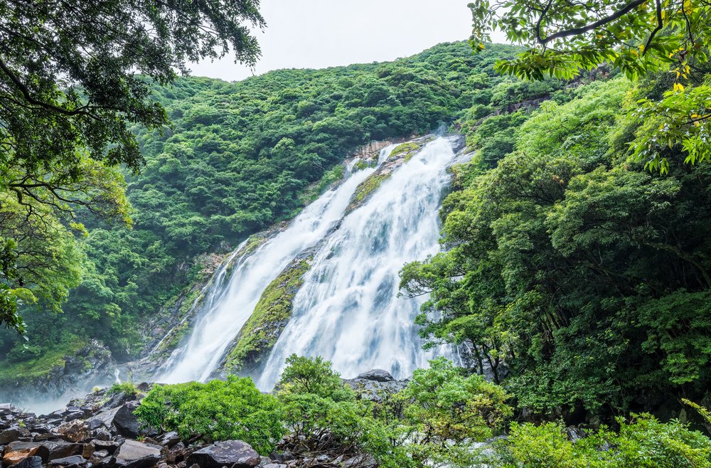 Oko-no-taki Waterfall in Yakushima Island, Japan. This is the highest waterfall around 88m:290ft in Yakushima Island